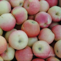 Pomme de gala rouge fraîche chinoise de Orchard à votre entrepôt